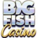 big fish casino